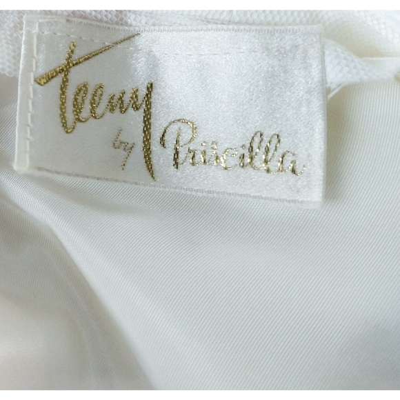 Vintage Lace Embroidered High Collar A-Line Chiffon Victorian Wedding Dress - Picture 9 of 14